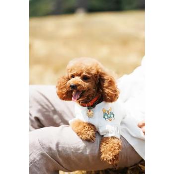 Embroidered shirt Pet fashion - buy, prices for MasterZoo - photo 3