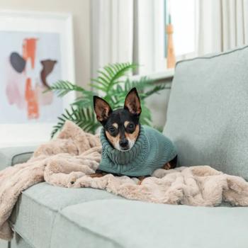 Trixie CityStyle Berlin светр для собак XS - купить, цены на MasterZoo - фото 5