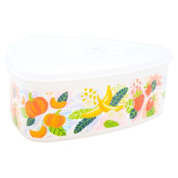 Zed Triangle Storage Container 16.5x7cm in Assortment - buy, prices for EKO Market - photo 5