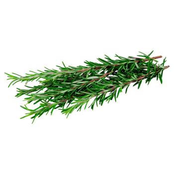 Rosemary 50g - buy, prices for - photo 3