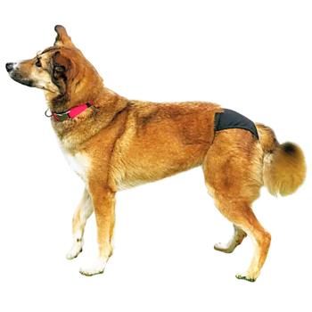 Underpants Trixie - buy, prices for MasterZoo - photo 4