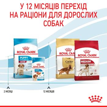 Корм сухий Royal Canin Medium Puppy з домашньою птицею для цуценят середніх порід 3кг - купити, ціни на MasterZoo - фото 6