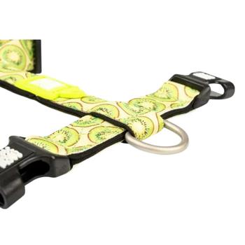 Leash Max and molly Germany - buy, prices for MasterZoo - photo 4