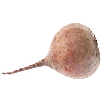 Beet - buy, prices for Epicentr FOOD - photo 1