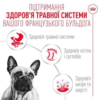 Food Royal canin 85g pouch France - buy, prices for MasterZoo - photo 2