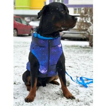 Waudog Clothes Dog Jacket s.M50 with Design Nasa21 - buy, prices for MasterZoo - photo 4