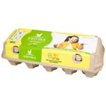 Kvochka Chicken Eggs C1 10pcs