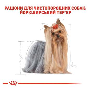 Корм вологий Royal Canin з домашньою птицею для дорослих собак породи йоркширський тер'єр 3+1шт х 85г - купити, ціни на - фото 5