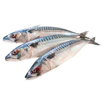 Mildly Salted Mackerel 400+ - buy, prices for Chudo Market - photo 1
