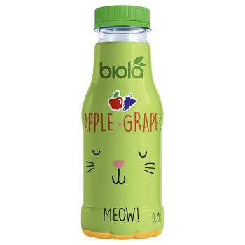 Biola Nectar Apple-grape 250ml - buy, prices for NOVUS - photo 1