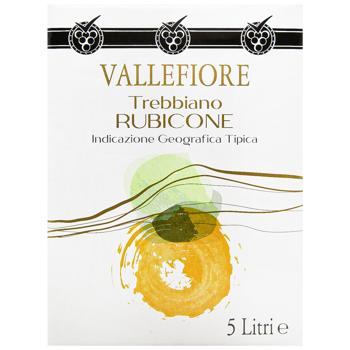 Vallefiore Trebbiano Rubicone White Dry Wine 11% 5l - buy, prices for METRO - photo 2