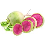 Vegetables radish fresh Ukraine