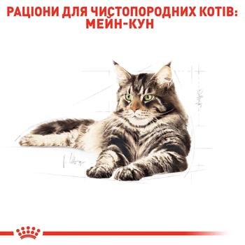 Корм сухий Royal Canin для котів породи мейн-кун 2кг - купити, ціни на MasterZoo - фото 4