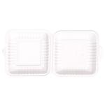 Bio Disposable Lunch Box 22x20x7.5cm 10pcs