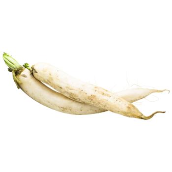 Daikon Radish - buy, prices for - photo 2