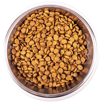 Корм сухий Monge Kitten з куркою для кошенят 400г - купити, ціни на MasterZoo - фото 2