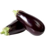 Vegetables eggplant fresh