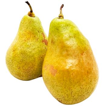 November Pear - buy, prices for Vostorg - photo 1