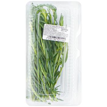 Tarragon - buy, prices for ULTRAMARKET - photo 1