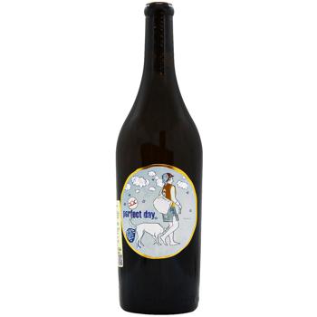 Вино Pittnauer Perfect Day сухое белое 11,5% 0,75л