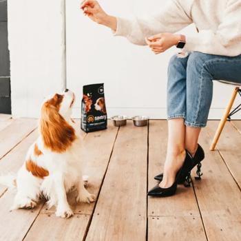 Savory Набір Puppy сухий корм для цуценят 1 кг - індичка та курка + Puppy Turkey Coins ласощі 100 г - індичка та курка - купити, ціни на MasterZoo - фото 7