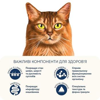 Home Food Healthy Skina and Shiny Coat Dry Food with Turkey and Salmon for Cats 400g - buy, prices for - photo 5