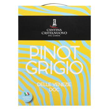 Вино Castelnuovo Pinot Grigio біле сухе 12% 3л - купити, ціни на WINETIME - фото 2