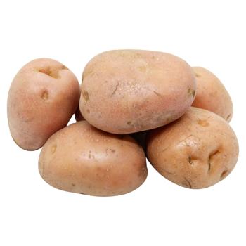 Washed Pink Potatoes - buy, prices for Za Raz - photo 1