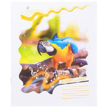 Sheet Music 12 Sheets - buy, prices for Tavria V - photo 4