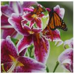 Art Studio of Happines GB-24100 Gift Bag 16х16х7cm