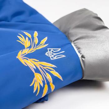 Костюм для собак Pet Fashion «Zhan» XS-2 - купити, ціни на MasterZoo - фото 4