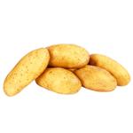 Ukraine Granada Potatoes