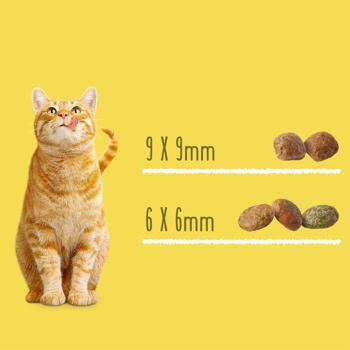 Friskies Sterilized Dry Food with Salmon, Tuna and Vegetables for Sterilized Cats 10kg - buy, prices for MasterZoo - photo 5