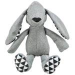 Toy
