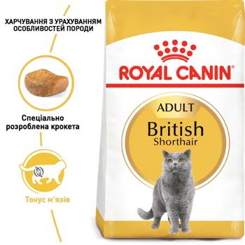 Корм сухий Royal Canin з домашньою птицею для дорослих котів породи британська короткошерста 4кг + наповнювач Catsan 5л - купити, ціни на MasterZoo - фото 3