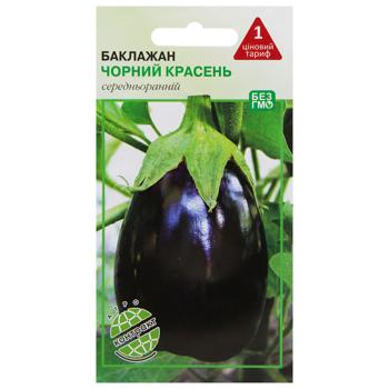 Agrokontrakt Eggplant Black Handsome Seeds 0.5g - buy, prices for MegaMarket - photo 1