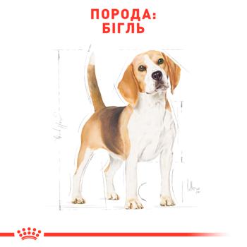 Royal Canin Dry Food with Poultry for Adult Dogs of Beagle Breed 3kg - buy, prices for MasterZoo - photo 4