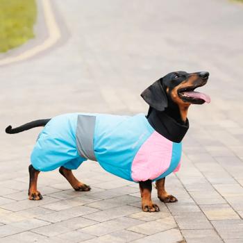 Комбінезон для собак Pet Fashion Milly S такса - купити, ціни на MasterZoo - фото 5