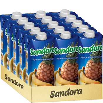 Sandora Multivitamin Nectar 0.5l - buy, prices for MegaMarket - photo 2