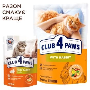 Корм сухий Club 4 Paws Premium з кроликом для дорослих котів 300г - купити, ціни на - фото 6