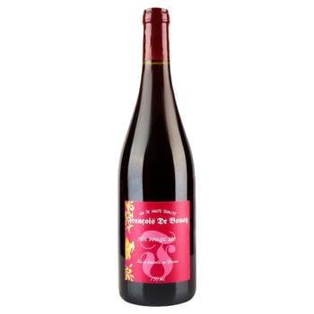 Francois de Bovoy Red Dry Wine 11% 0.75l - buy, prices for - photo 1