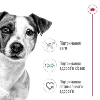 Корм вологий Royal Canin Adult з домашньою птицею для собак малих порід 9+3шт*85г - купити, ціни на - фото 4