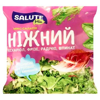 Salute Mix Gentle Lettuce Mix 120g - buy, prices for METRO - photo 1