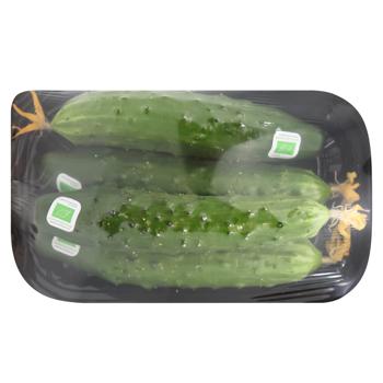 Terra Organic Cucumber - buy, prices for WINETIME - photo 1