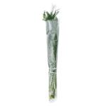 Dill 70g