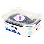Kwitne Blueberry 300g