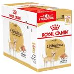 Royal Canin Adult Wet Food with Poultry for Dogs of Chihuahua Breed 9+3pcs*85g