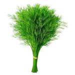 Крiп ваговий 