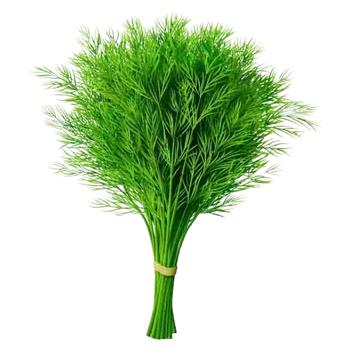 Крiп ваговий  - купити, ціни на Grono - фото 1