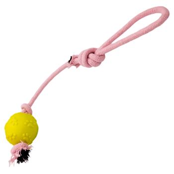 Ball with Rope Toy for Dogs 50cm